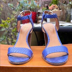 Coach Royal Blue Snakeskin Heels
